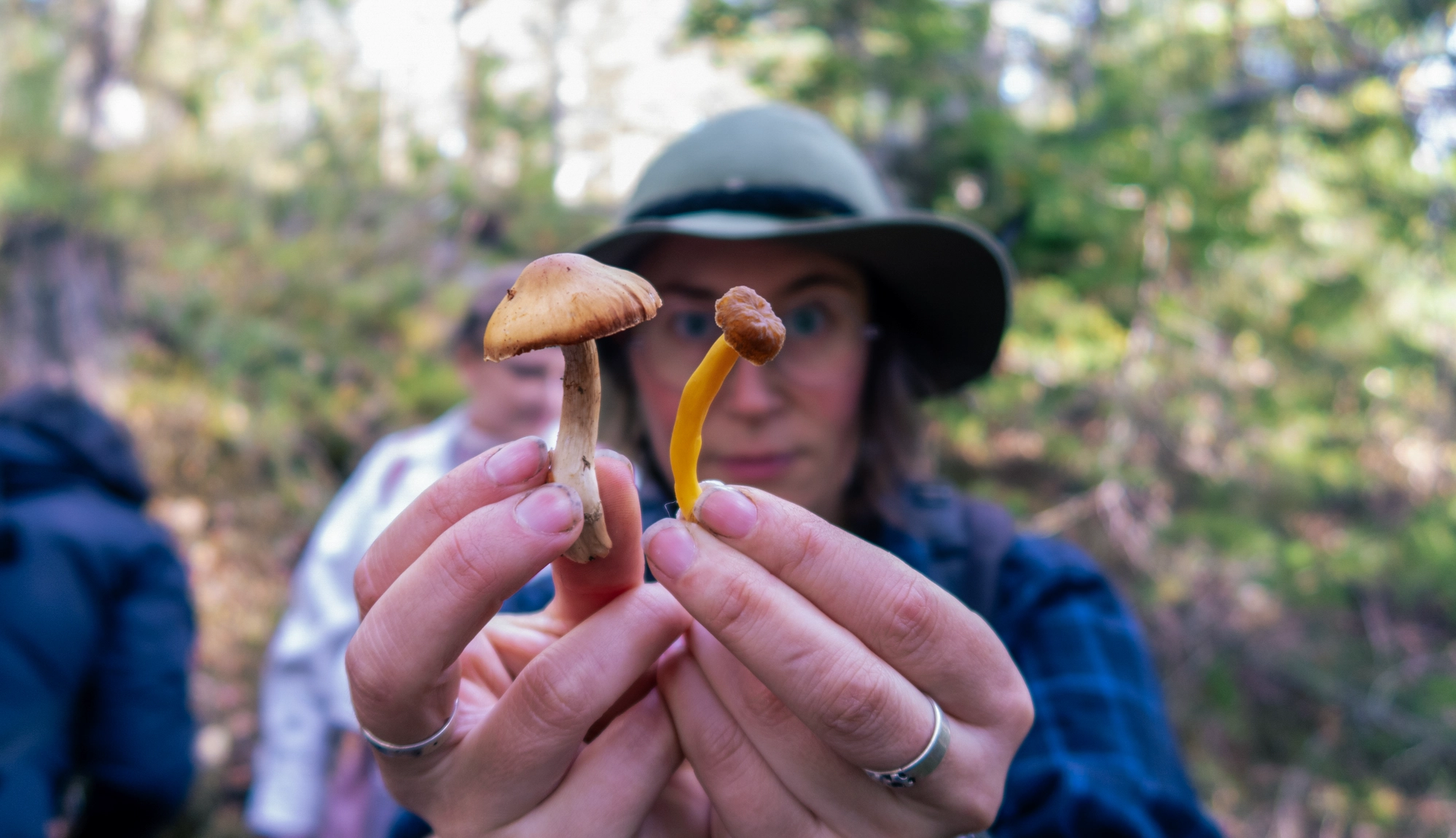 Hidden trails experience in Stockholm