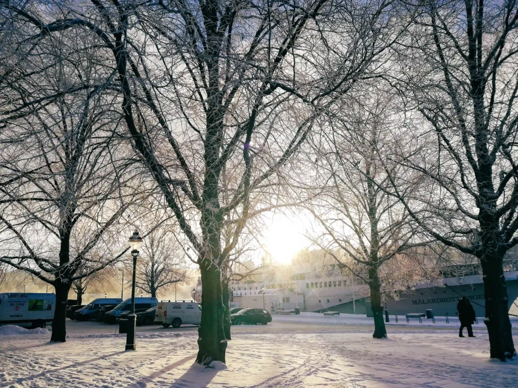 A snow-covered Stockholm park in low winter sun
