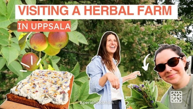 Video still: exploring a herbal farm outside Uppsala with our CEO
