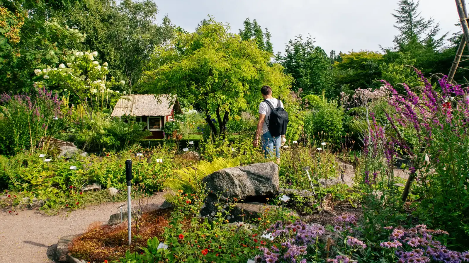 The Uppsala Botanical Garden in bloom